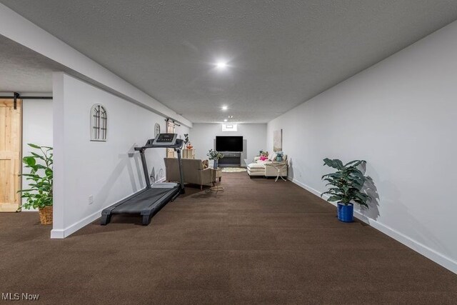 12187 Bexley Dr, Grafton, OH 44044 - exercise room with a barn door and carpet floors