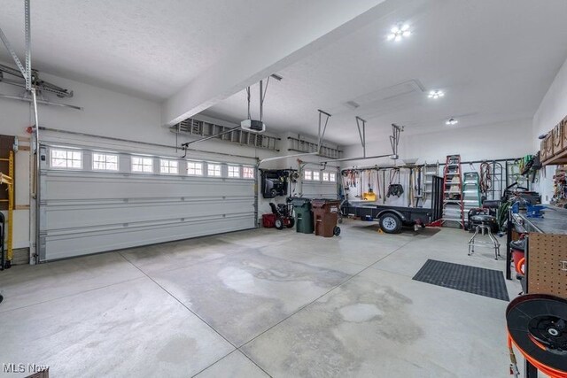 12187 Bexley Dr, Grafton, OH 44044 - view of garage