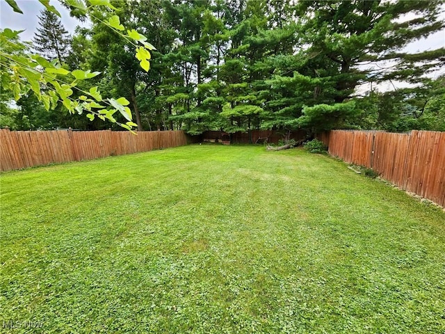 741 Jennings Ave, Salem, OH 44460 - photo 2