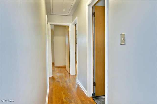 2803 Brunswick Rd, Youngstown, OH 44511 - corridor with light wood-type flooring and attic access