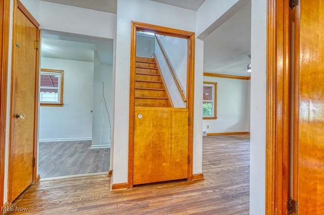 3163 Wilson St, Lorain, OH 44052