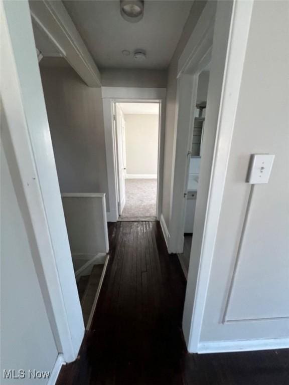 836 E 236th St, Euclid, OH 44123 - hall with dark wood-type flooring and baseboards