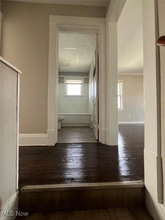 836 E 236th St, Euclid, OH 44123 - corridor with hardwood / wood-style flooring