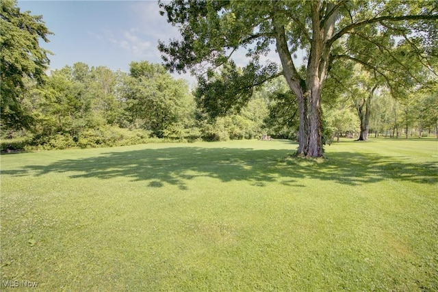 7730 Cedar Rd, Chesterland, OH 44026 - photo 36