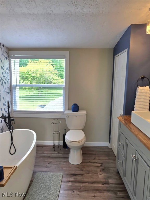 12779 State Route 700, Hiram, OH 44234 - full bathroom featuring vanity, a freestanding tub, wood finished floors, and a textured ceiling