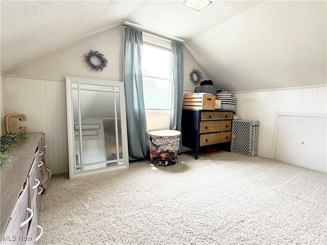 3522 Oakdale Ave, Lorain, OH 44055 - additional living space featuring a textured ceiling, lofted ceiling, carpet flooring, and wooden walls