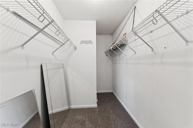 3594 Heckman St NW, Uniontown, OH 44685 - walk in closet with carpet flooring