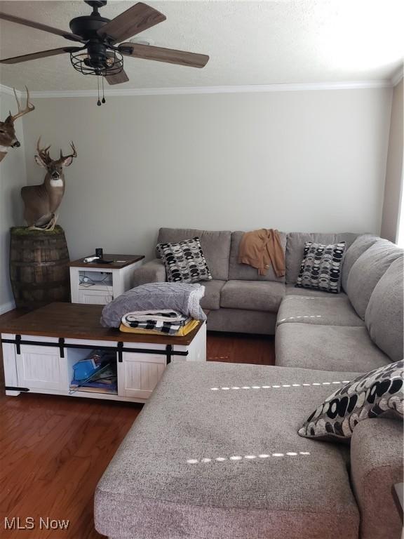 1310 Oxbow Rd, Belpre, OH 45714 - living room featuring crown molding, dark wood-style flooring, and ceiling fan