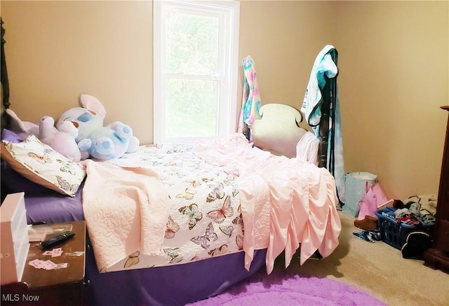 1310 Oxbow Rd, Belpre, OH 45714 - view of carpeted bedroom