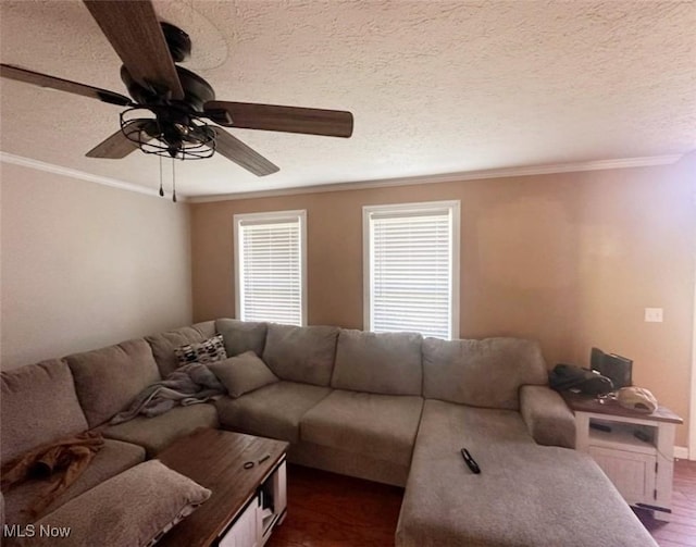 1310 Oxbow Rd, Belpre, OH 45714 - living room featuring crown molding, a ceiling fan, a textured ceiling, and dark wood finished floors