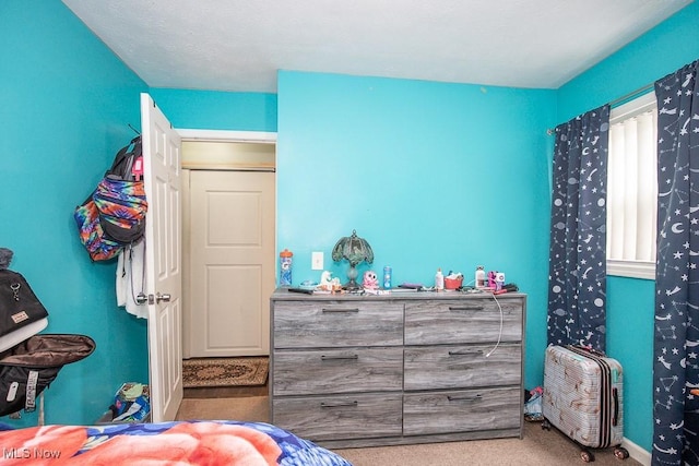 35109 Elm Rd, Grafton, OH 44044 - view of carpeted bedroom