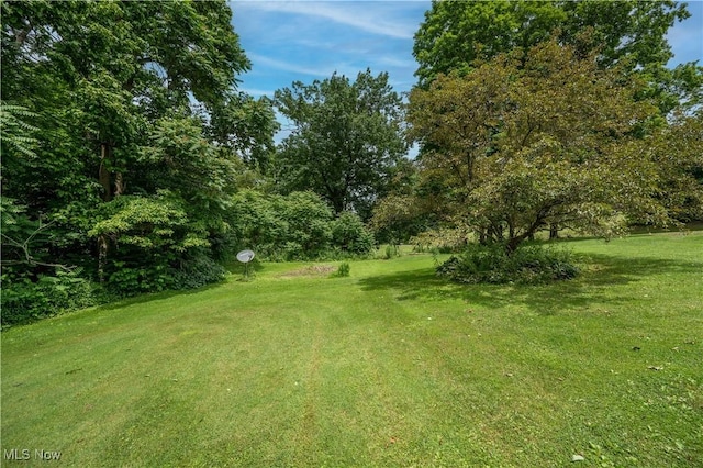 3355 Waterford Rd, New Waterford, OH 44445 - view of grassy yard