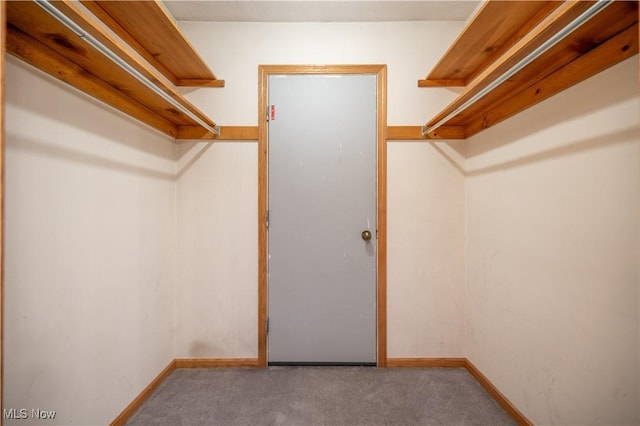 3355 Waterford Rd, New Waterford, OH 44445 - spacious closet with carpet