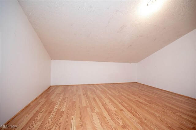 3355 Waterford Rd, New Waterford, OH 44445 - additional living space with lofted ceiling, light wood finished floors, and a textured ceiling