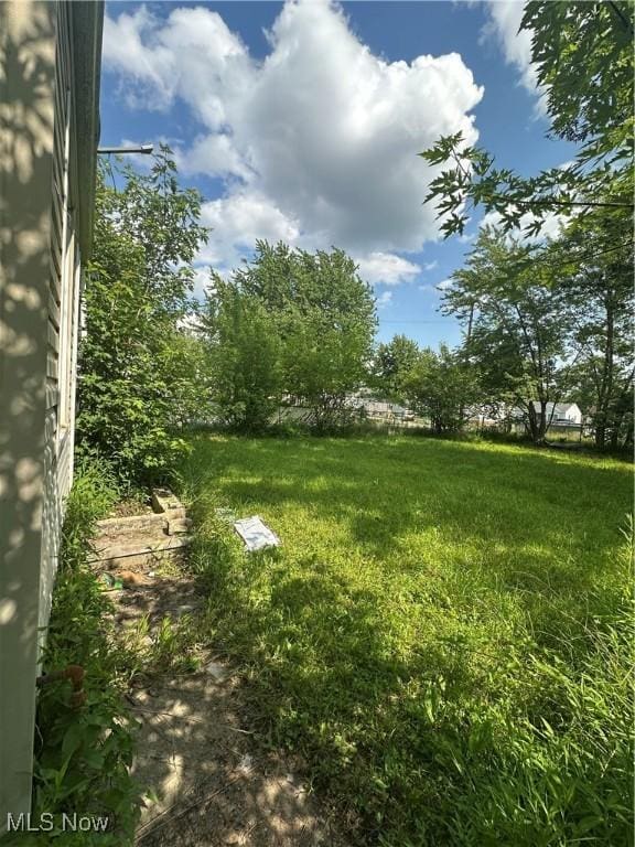 13501 Carrington Ave, Cleveland, OH 44135 - photo 15