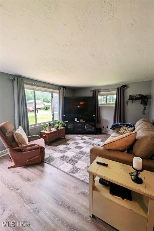 6323 Olive Ave, North Ridgeville, OH 44039 - living area with wood finished floors and a textured ceiling