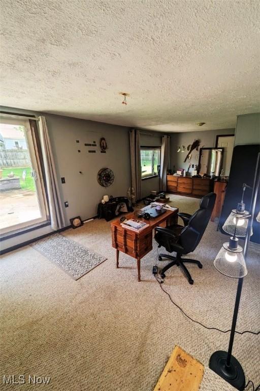 6323 Olive Ave, North Ridgeville, OH 44039 - living room featuring a textured ceiling, carpet floors, and a desk
