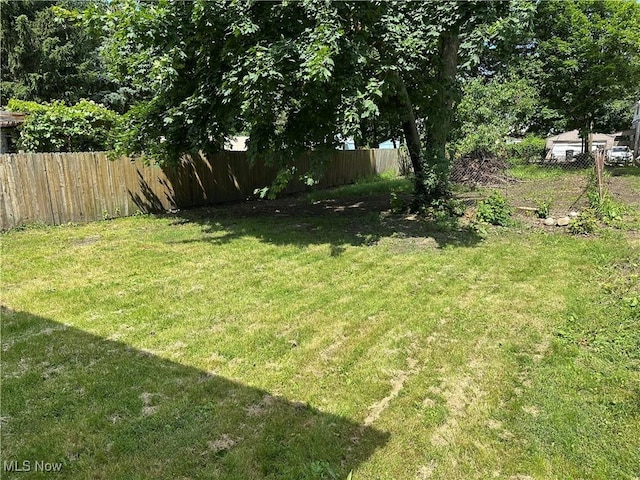 841 Kling St, Akron, OH 44311 - view of yard