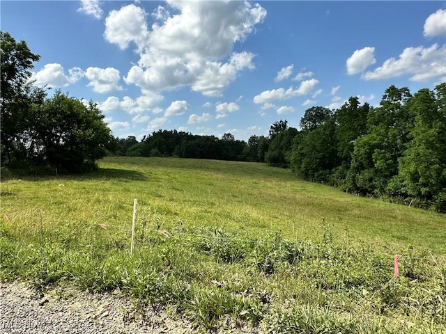 10570 Timberman Rd NW, Malta, OH 43758 - photo 4