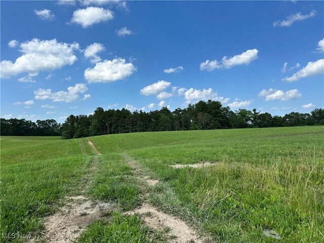 10570 Timberman Rd NW, Malta, OH 43758 - photo 14