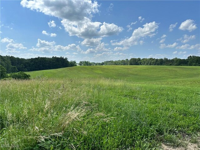 10570 Timberman Rd NW, Malta, OH 43758 - photo 15