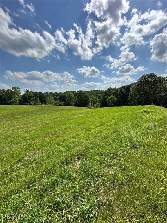 10570 Timberman Rd NW, Malta, OH 43758 - photo 18