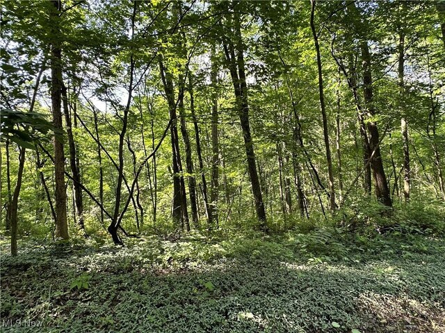 10570 Timberman Rd NW, Malta, OH 43758 - photo 21