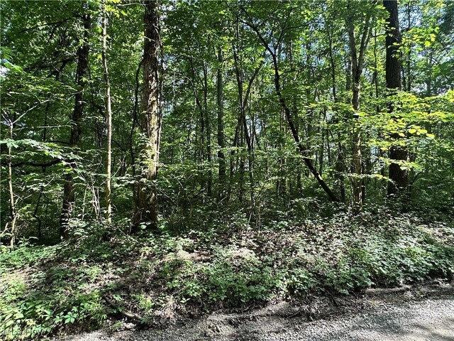 10570 Timberman Rd NW, Malta, OH 43758 - photo 22