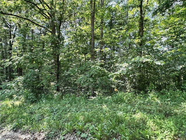 10570 Timberman Rd NW, Malta, OH 43758 - photo 23