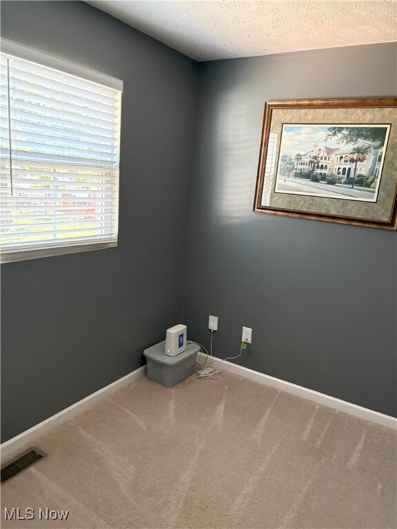 2722 Ivy Trl, Ravenna, OH 44266 - photo 9