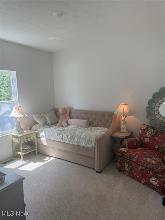 185 Harvest Way, Elyria, OH 44035 - photo 20