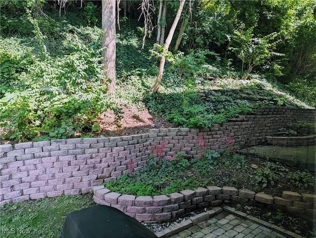 1949 Columbus Rd, Cleveland, OH 44113 - view of yard