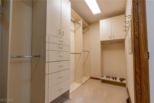 221 Winston Ave NE, North Canton, OH 44720 - view of walk in closet