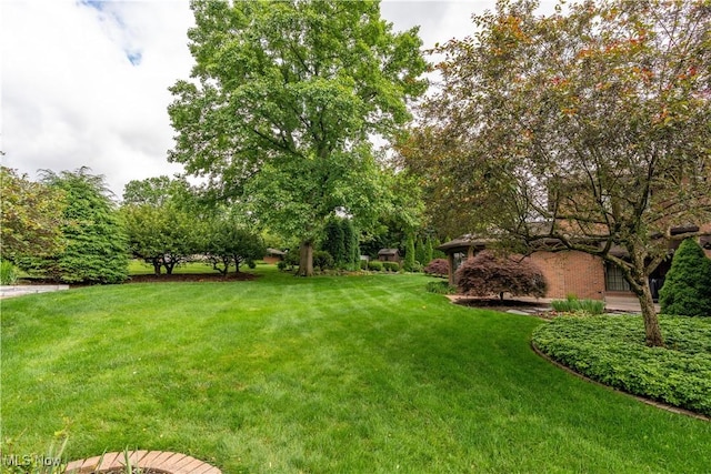 221 Winston Ave NE, North Canton, OH 44720 - view of green lawn