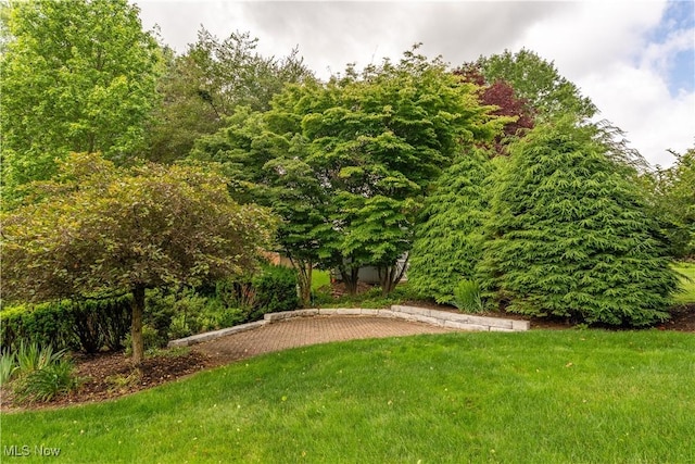 221 Winston Ave NE, North Canton, OH 44720 - view of grassy yard