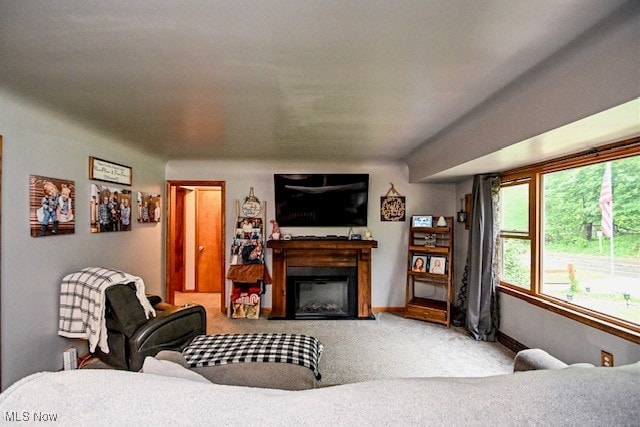 3364 Cormany Rd, Akron, OH 44319 - living area featuring carpet and a fireplace