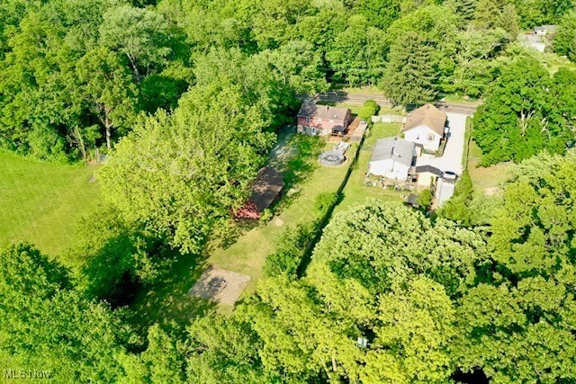 3364 Cormany Rd, Akron, OH 44319 - aerial view of property's location featuring a forest