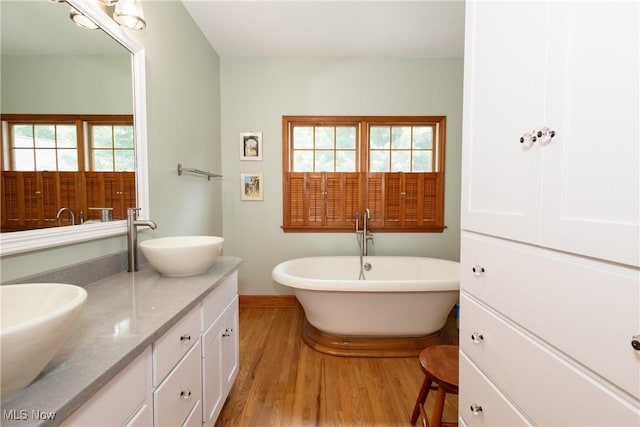 121 Sycamore Pl, Oberlin, OH 44074 - bathroom featuring wood finished floors, double vanity, and a freestanding tub