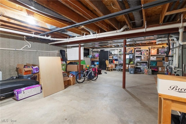 121 Sycamore Pl, Oberlin, OH 44074 - view of unfinished basement