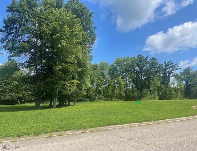Black Duck Ct, Cortland, OH 44410