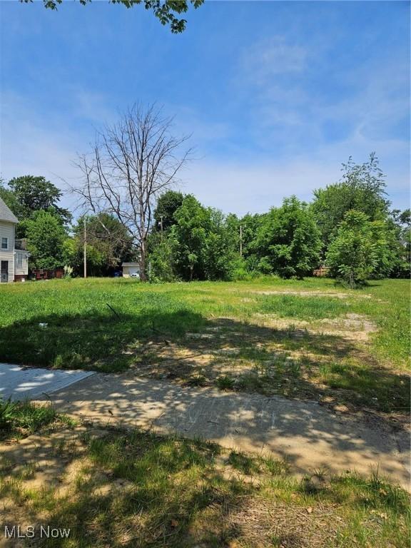 10835 Orville Ave, Cleveland, OH 44106 - photo 1