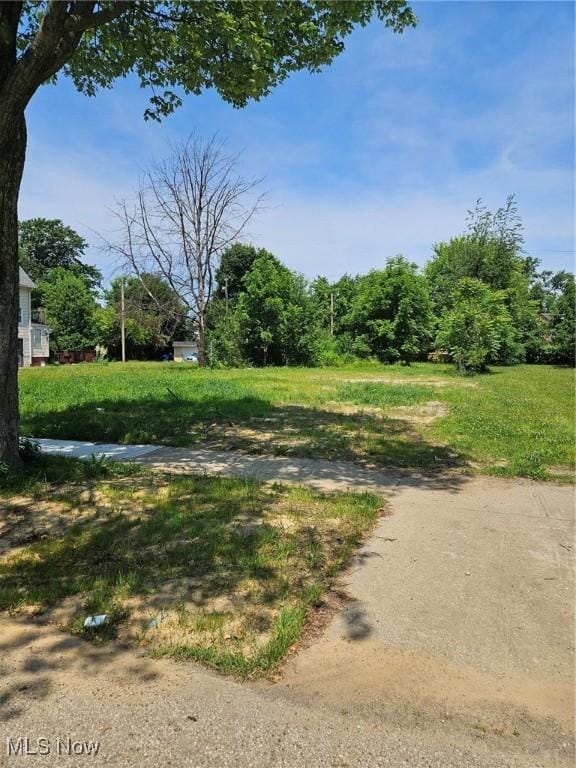 10835 Orville Ave, Cleveland, OH 44106 - photo 2