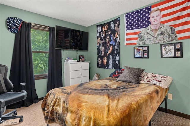 1345 County Road 16, New London, OH 44851 - bedroom featuring carpet floors and baseboards