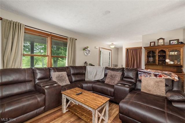 1345 County Road 16, New London, OH 44851 - living area with wood finished floors and a textured ceiling
