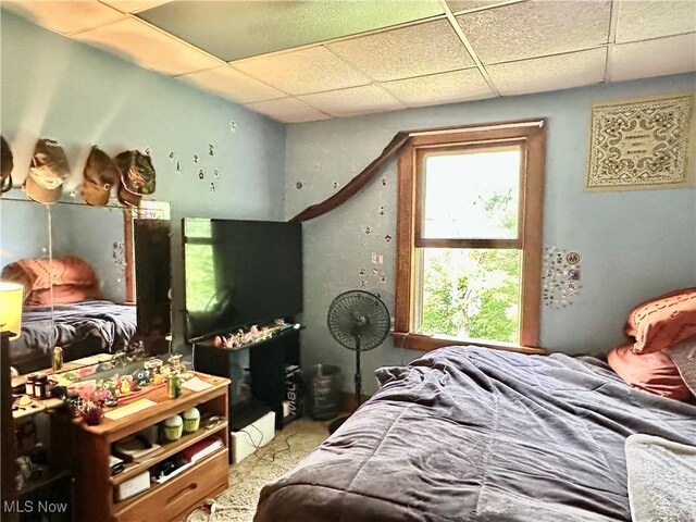 8026 Elm St, Garrettsville, OH 44231 - photo 34