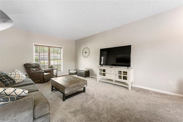 4670 King Meadow Trl, Kent, OH 44240 - carpeted living area with baseboards and a textured ceiling