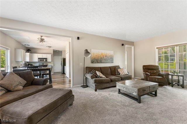 4670 King Meadow Trl, Kent, OH 44240 - living room featuring light carpet, a textured ceiling, and ceiling fan