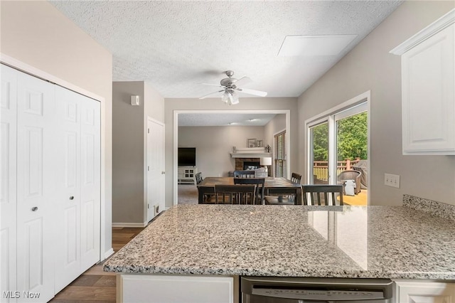 4670 King Meadow Trl, Kent, OH 44240 - kitchen with a fireplace, ceiling fan, dishwasher, light stone countertops, and a textured ceiling