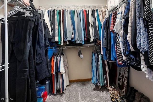 4670 King Meadow Trl, Kent, OH 44240 - spacious closet featuring carpet