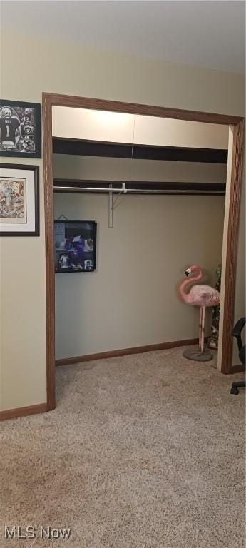 14172 Hametown Rd, Doylestown, OH 44230 - view of closet